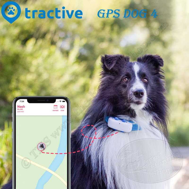 TRACTIVE Collier GPS pour chien - Traceur avec localisation à