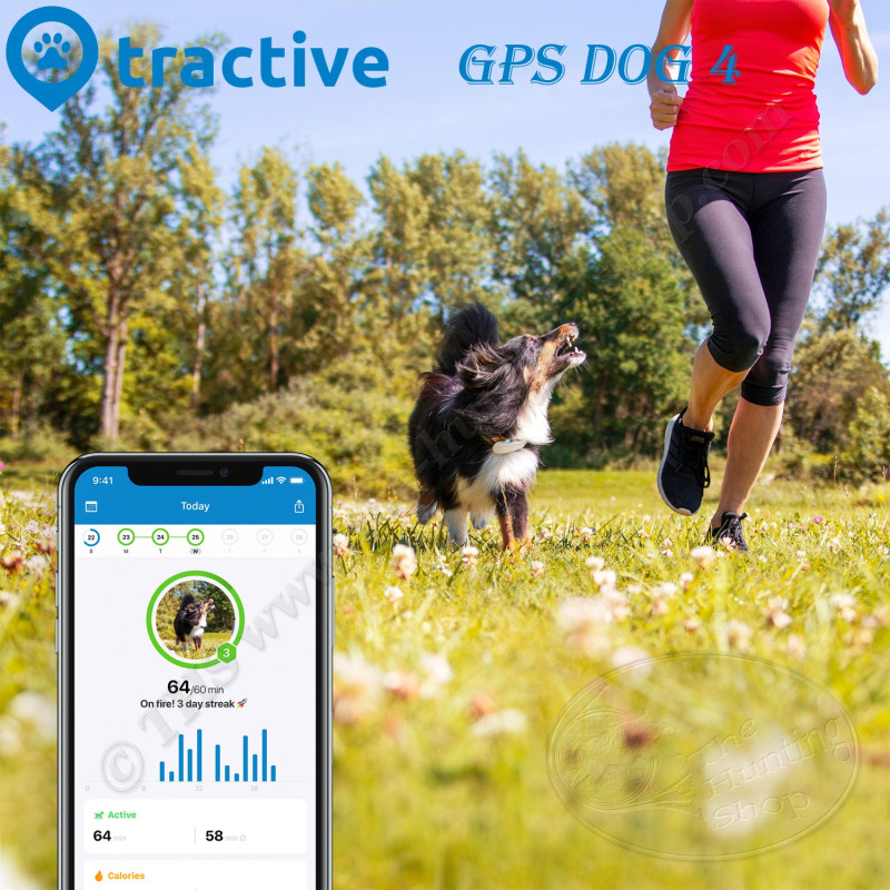Tractive collier GPS pour chien avec suivi d'activité - DOG 4 - 3 couleurs  disponibles