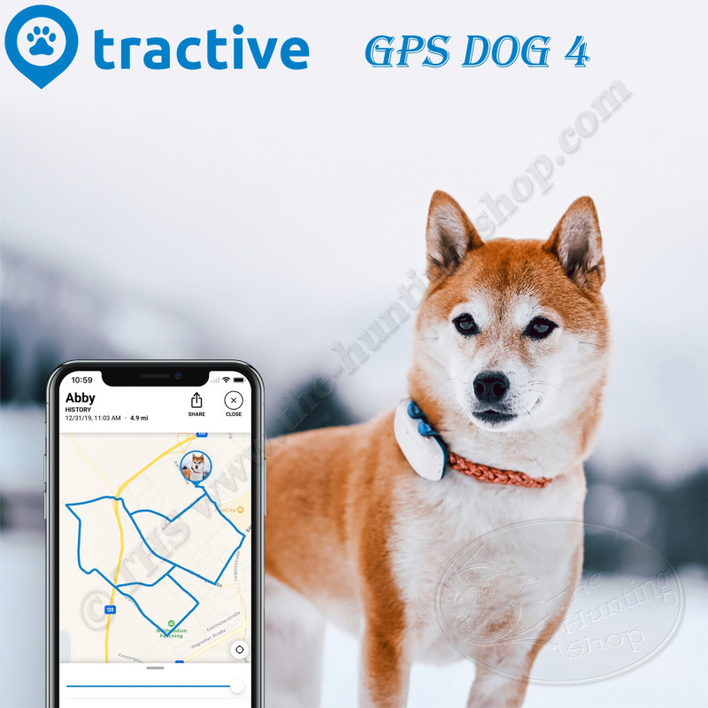 Boîtier traceur GPS chien Dog 4 bleu - Tractive - Niche à Chien