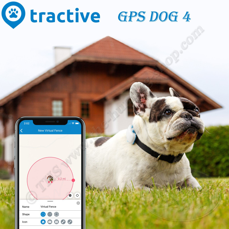 Tractive GPS DOG 4 - Traceur GPS pour chien avec suivi d'activité et housse  phosphorescente