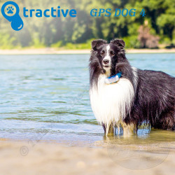TRACTIVE GPS DOG 4 - GPS dog collar with activity tracking