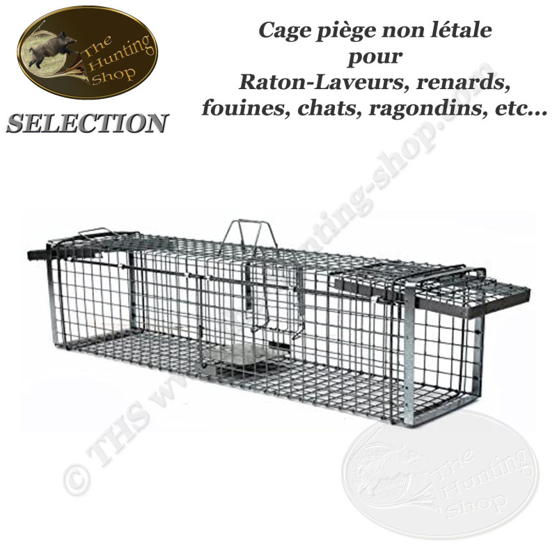 Cage piège non létale pour les ratons-laveurs, fouines, chats, renards