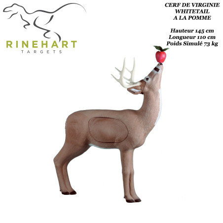 RINEHART 18-1 cible bloc en mousse solide et confortable, convient pour lames de chasse