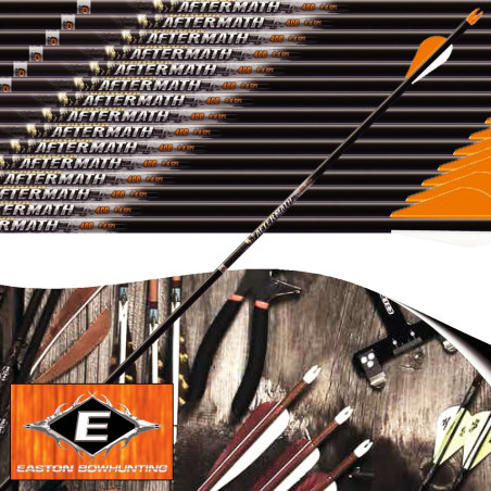 EASTON Carbon Aftermath Flèches de chasse et tir 3D en carbone empennées avec vanes Blazer 6 Pack