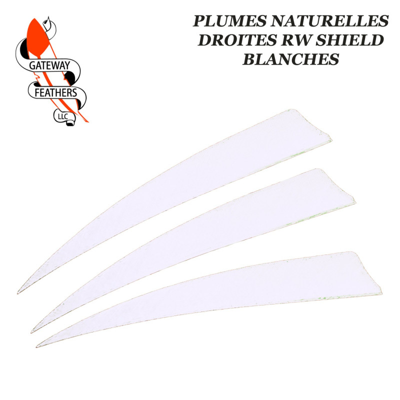 GATEWAY FEATHERS Plumes naturelles unies RW Shield