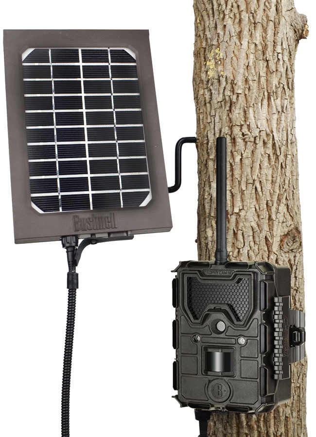 Bushnell Trophy Cam Wireless équipée d'une alimentation à panneau solaire