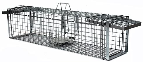 Cage piège non létale pour raton laveur, renard, fouine, chat, castor, ragondin