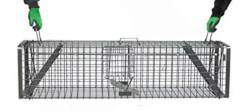 Cage avec glissière 1 entrée BOXTRAP pour Rat Fouine et tout autre animal  de petite taille